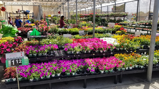 Department Store «Walmart Supercenter», reviews and photos, 4400 13th St, St Cloud, FL 34769, USA