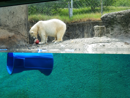 Zoo «Point Defiance Zoo & Aquarium», reviews and photos, 5400 N Pearl St, Tacoma, WA 98407, USA