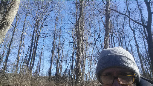 Historical Place «Jerusalem Mill», reviews and photos, 2813 Jerusalem Rd, Kingsville, MD 21087, USA