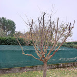 Photo n° 1 de l'avis de Hervé.A fait le 03/12/2022 à 15:53 pour DR Services 31 à Saint-Lys