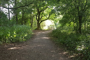 Warmley Forest Park image