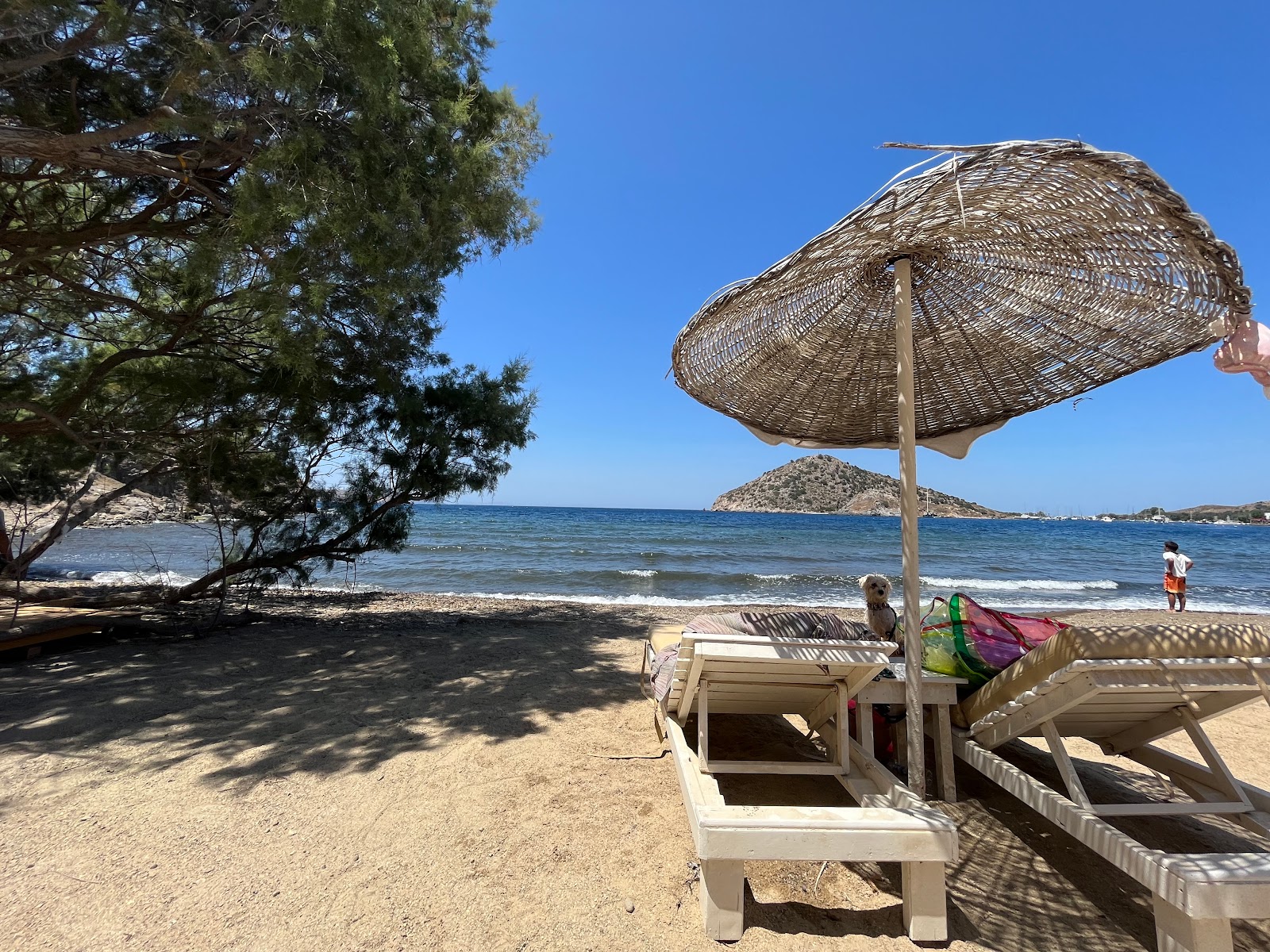 Zemda Beach photo #8
