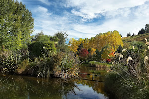 Bellview Wetlands Reserve