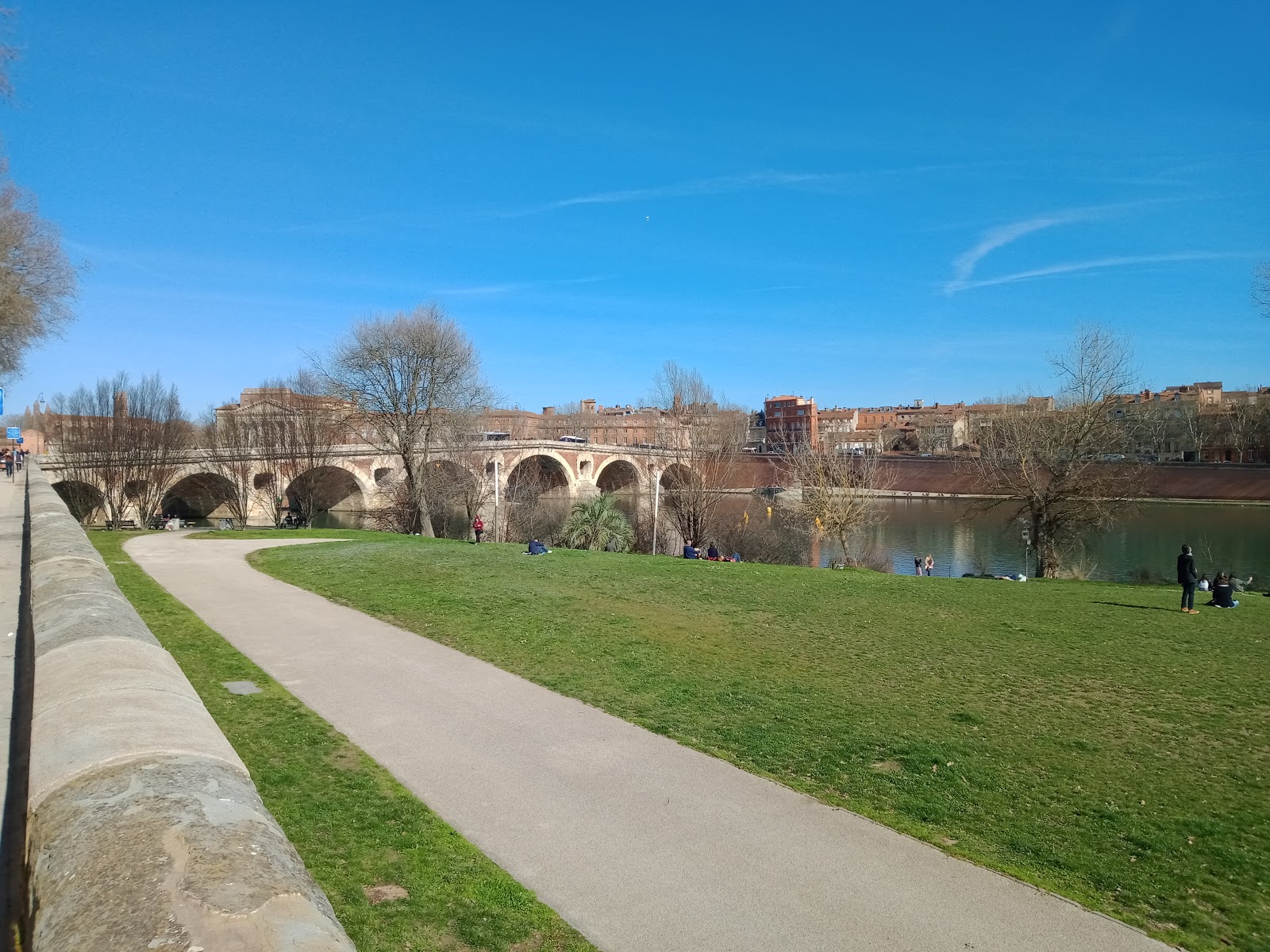 Foto di Plage Toulouse con una superficie del erba