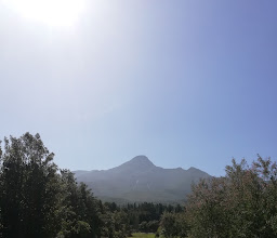 Garden Route Botanical Gardens photo