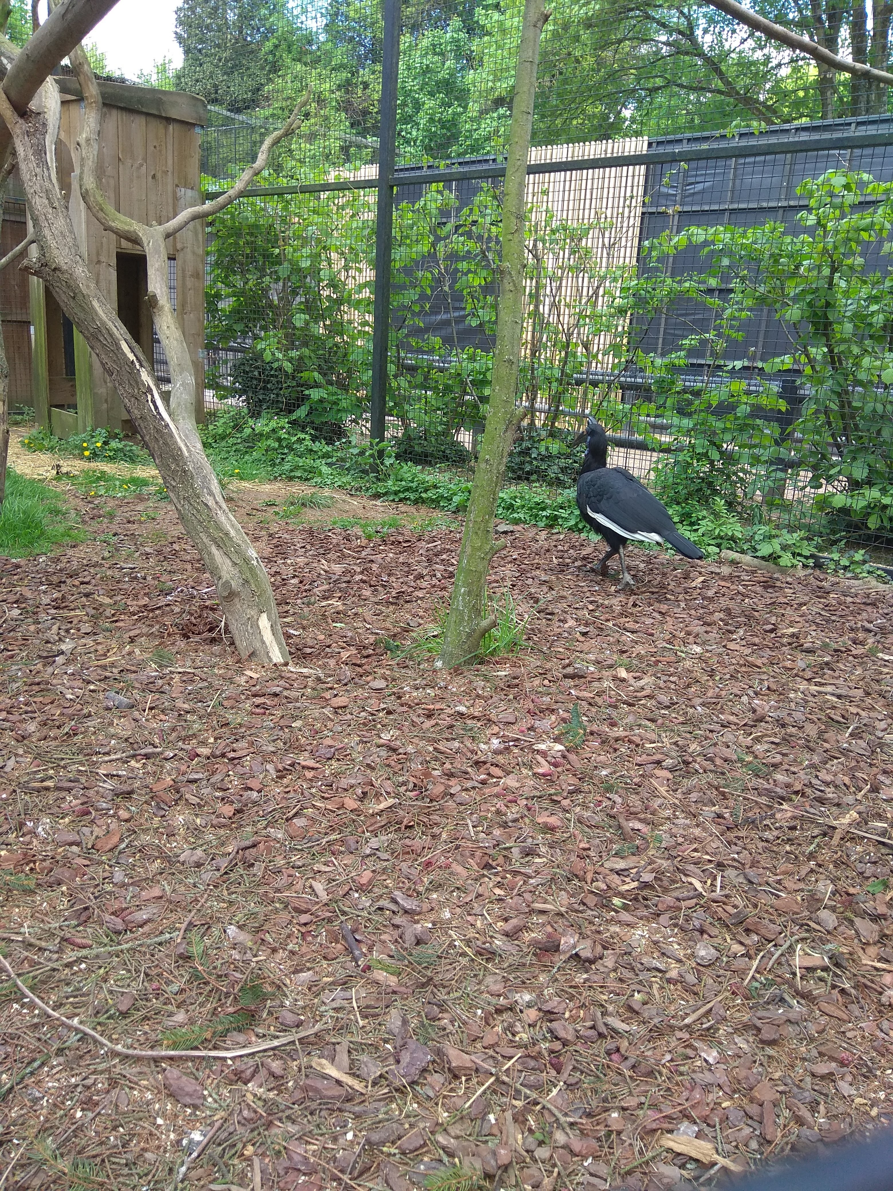 Photo n° 5 de l'avis de louloute.a fait le 05/07/2018 à 09:16