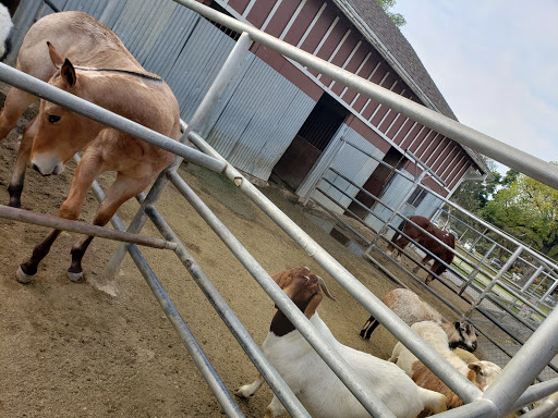 Montebello Barnyard Zoo