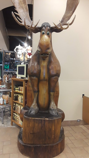 Sporting Goods Store «SCHEELS», reviews and photos, 2800 S Columbia Rd, Grand Forks, ND 58201, USA