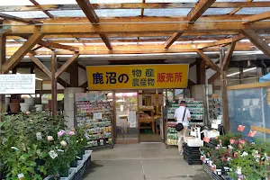 Kanumashi Kaboku Center image