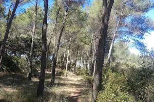 Parque Forestal La Atalaya image