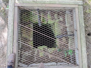 Fort Payne Cabin Historic Site - photo 4