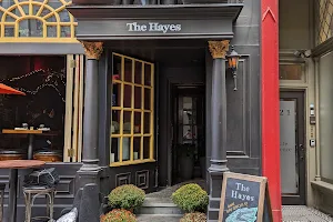 The Hayes image