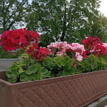 Photo n°2 de l'avis de Jocelaine.o fait le 11/08/2023 à 17:51 sur le  Hotel Kaiserswerth à Düsseldorf