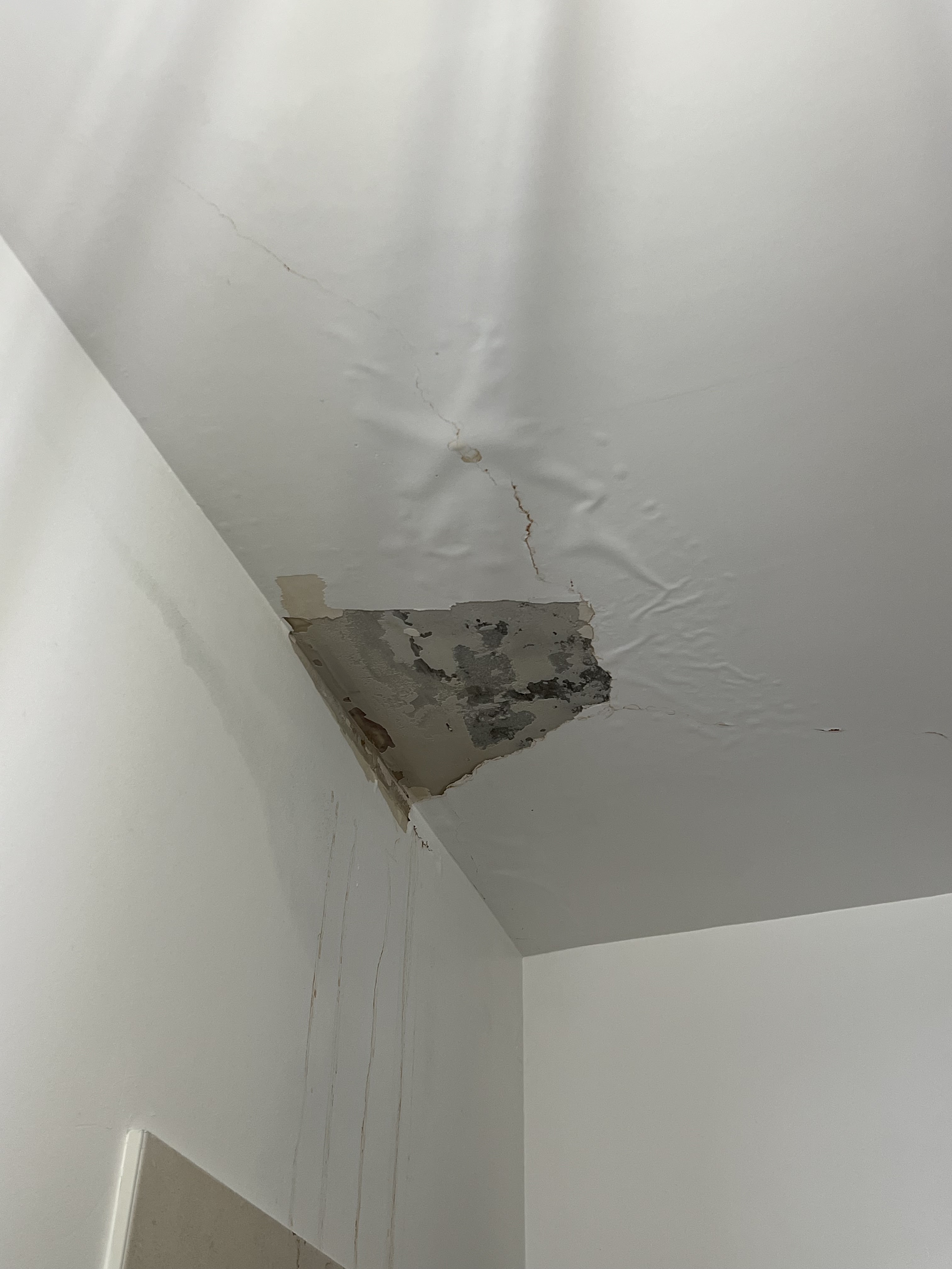 Photo n° 2 de l'avis de Quentin.u fait le 19/02/2024 à 15:44