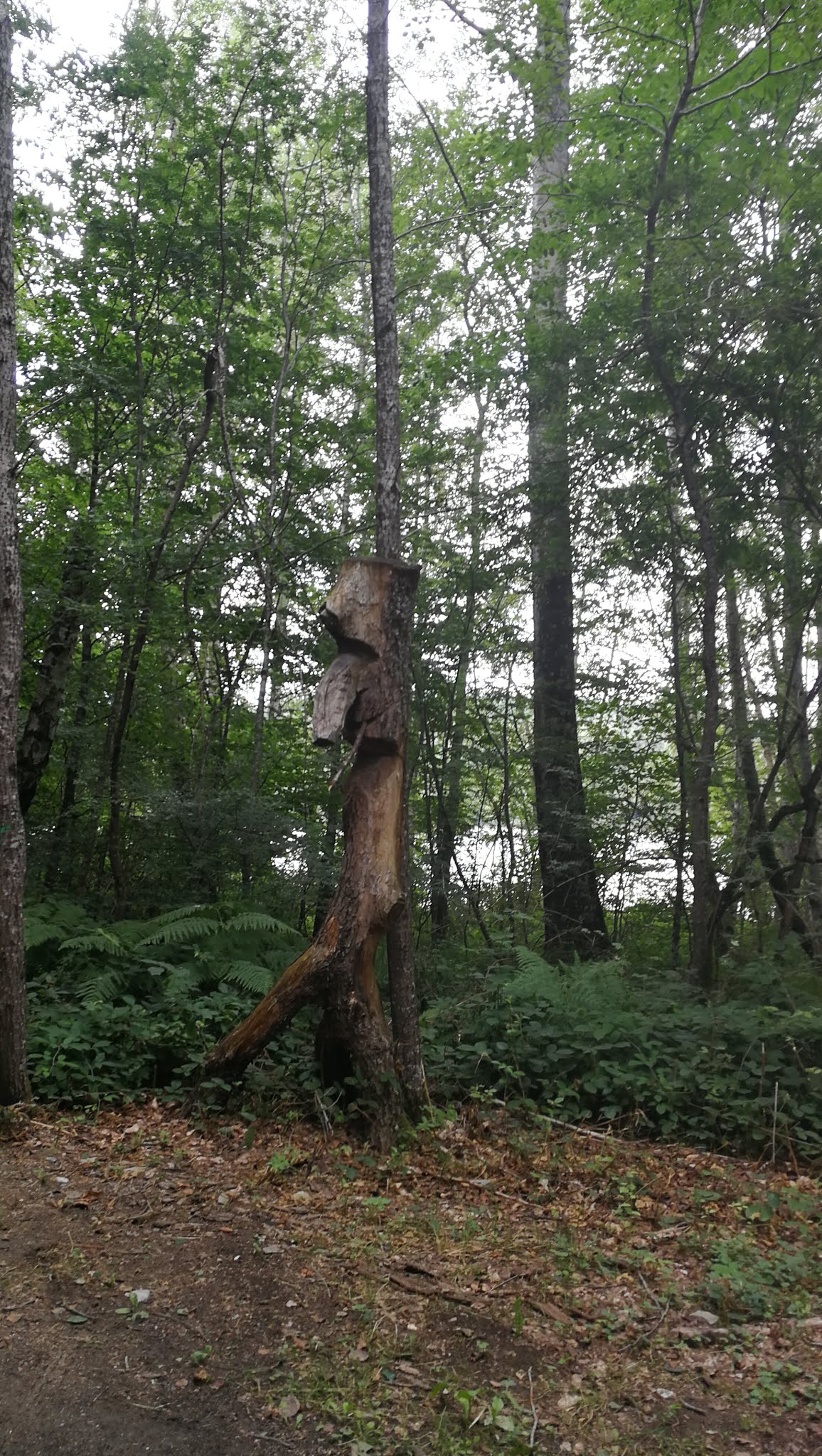 Photo n° 4 de l'avis de michelle.a fait le 02/09/2018 à 13:24