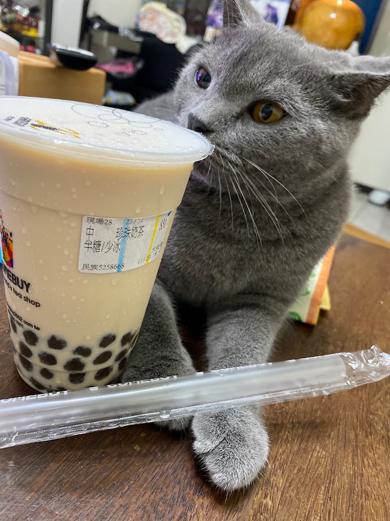 COMEBUY新竹民族店 的照片