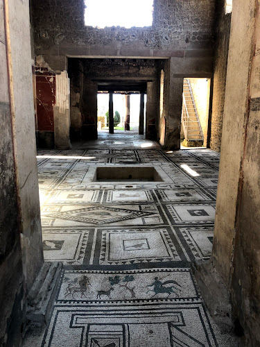 Recensioni di Scavi di Pompei a Pompei - Museo