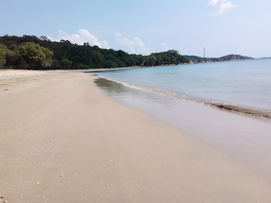 Sweat Bay
