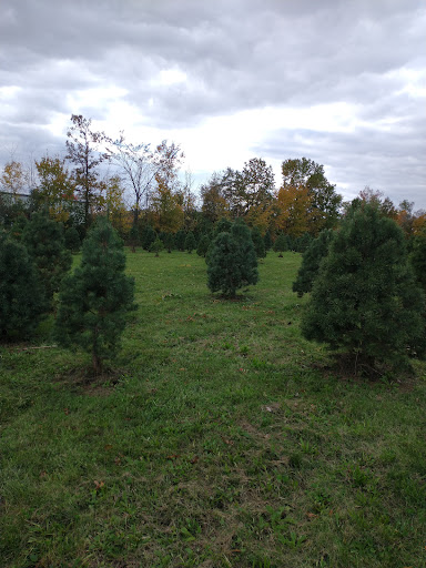 Koontz Tree Farm