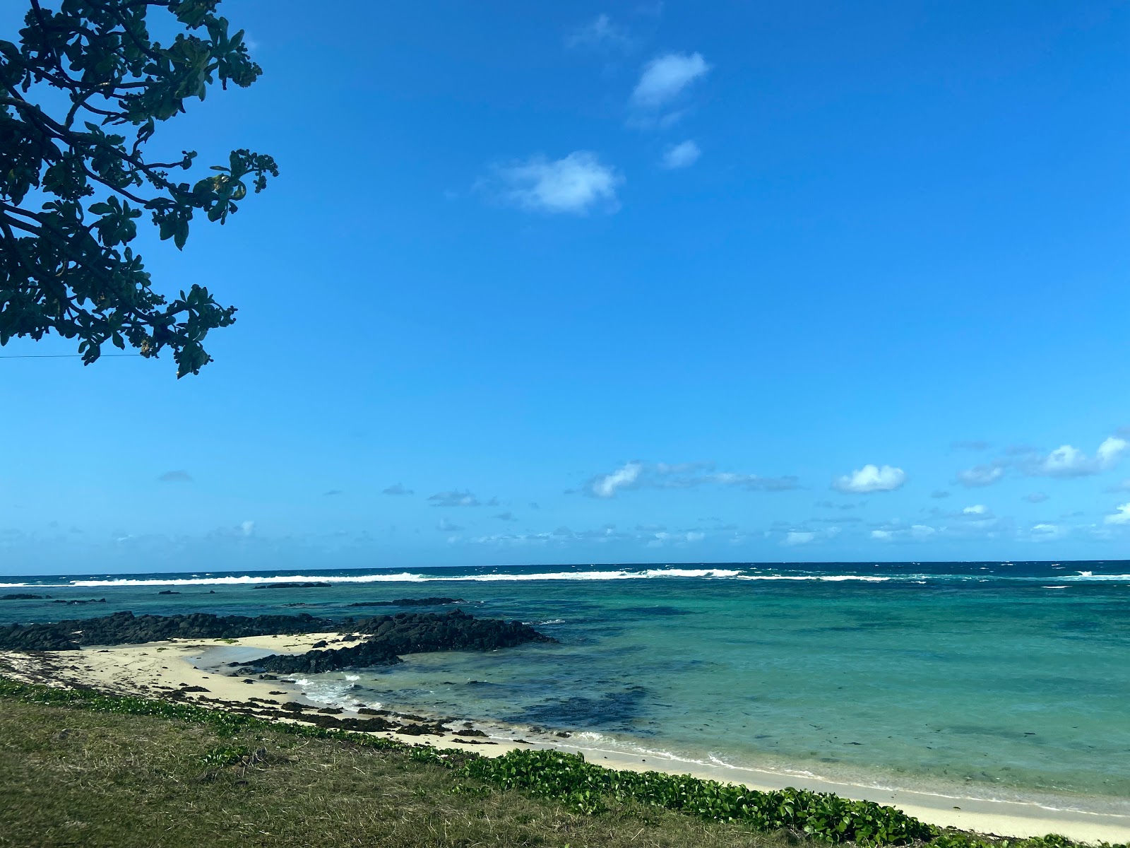 Photo de Palmar Bay Beach situé dans une zone naturelle