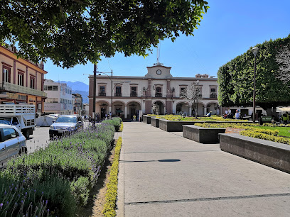 H. Ayuntamiento de Hidalgo