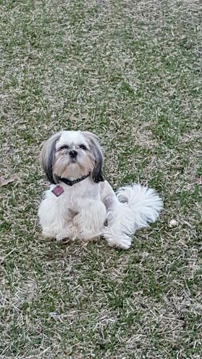 Auto Repair Shop «Lopez Auto Repair», reviews and photos, 1260 Rock Island Rd, Irving, TX 75060, USA