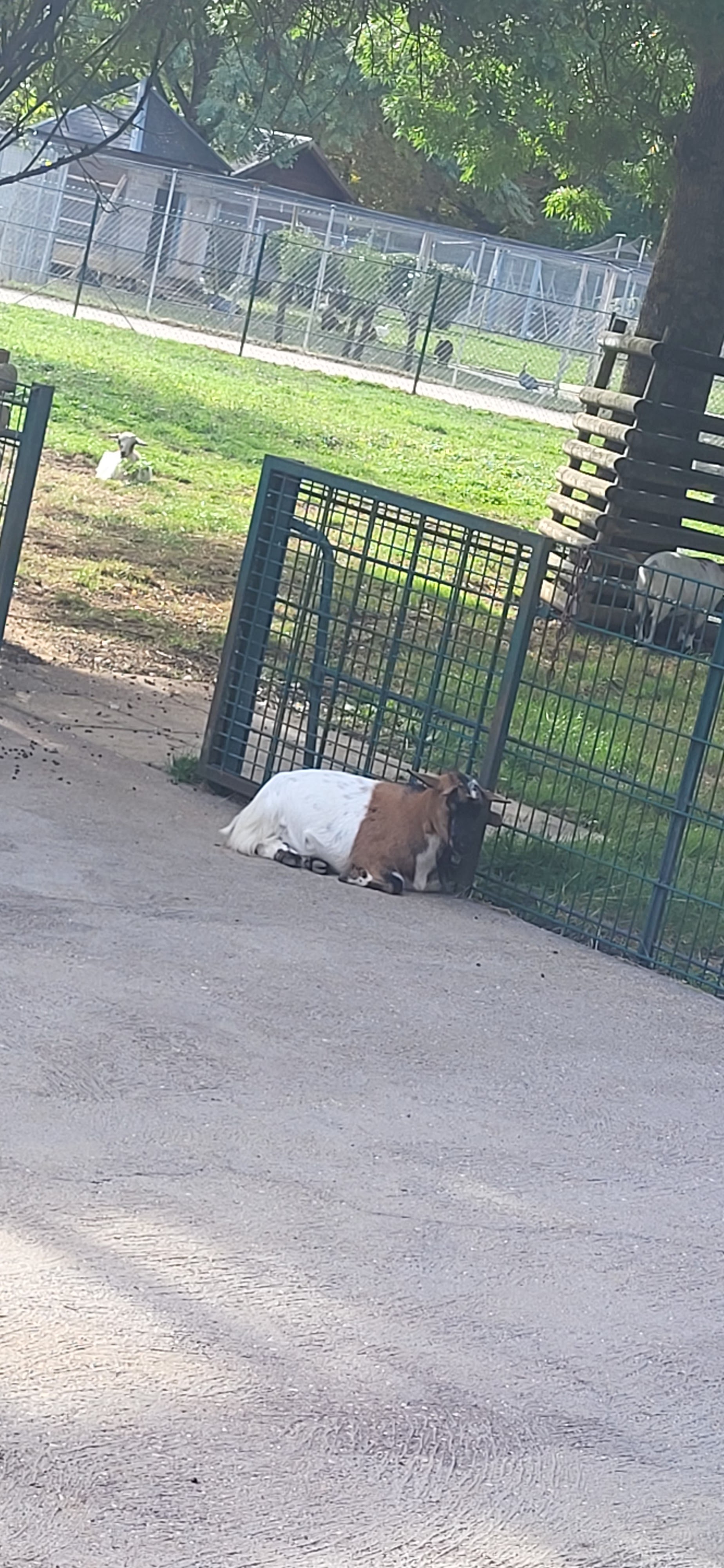 Photo n° 2 de l'avis de kinder.e fait le 29/09/2023 à 14:50