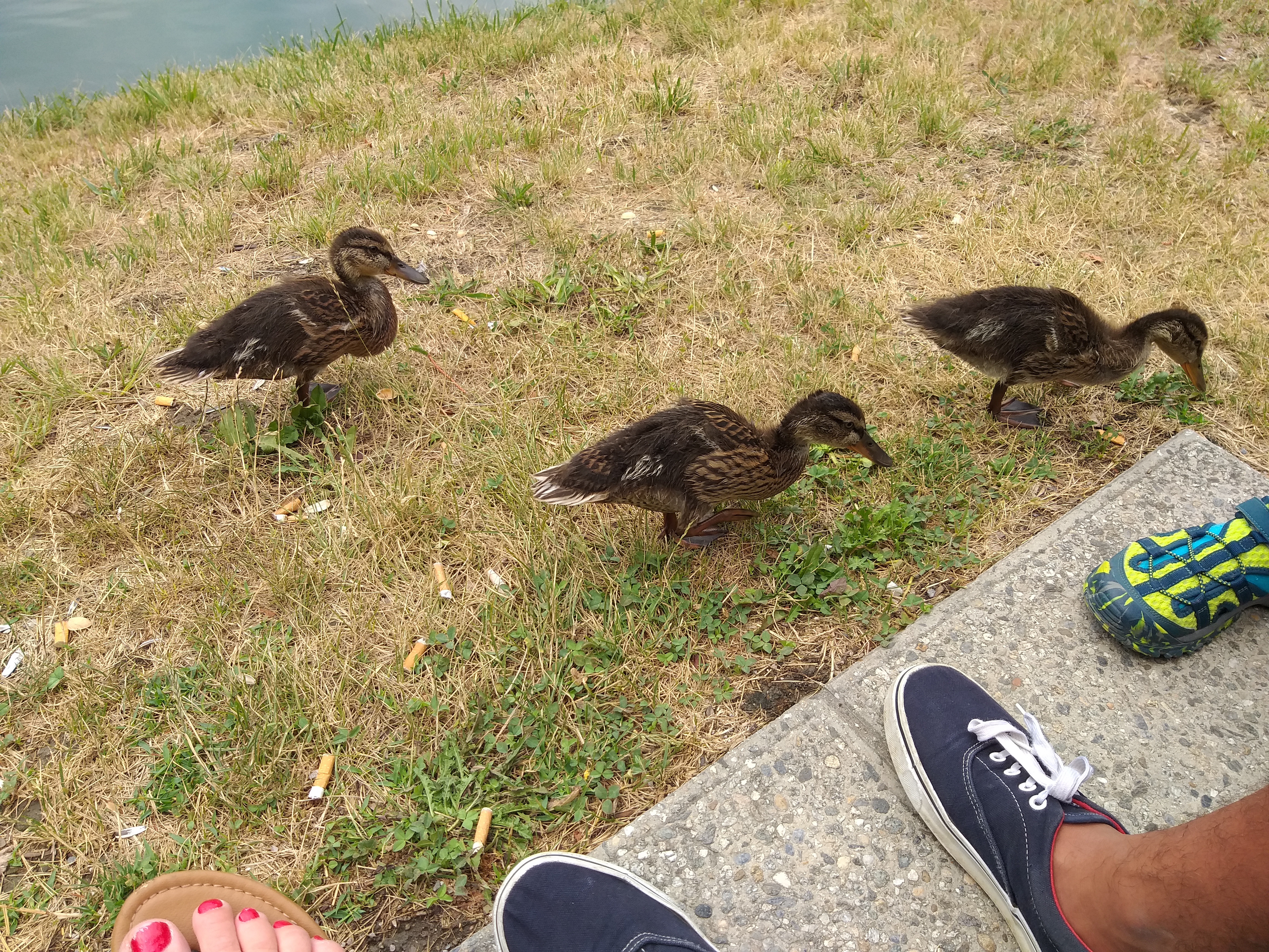 Photo n° 2 de l'avis de jessica.i fait le 07/08/2019 à 09:36