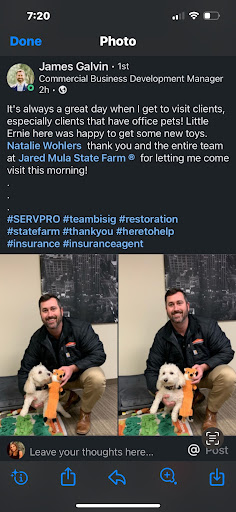 Auto Insurance Agency «Jared Mula - State Farm Insurance Agent», reviews and photos