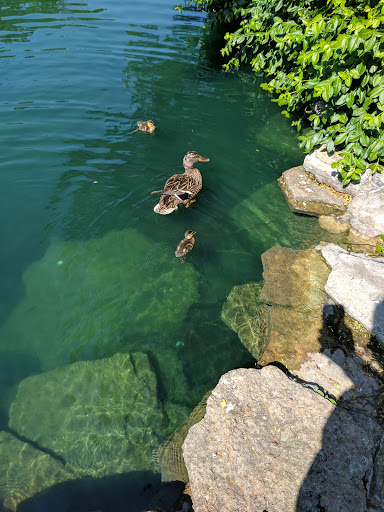 Park «Eden Park», reviews and photos, 950 Eden Park Dr, Cincinnati, OH 45202, USA