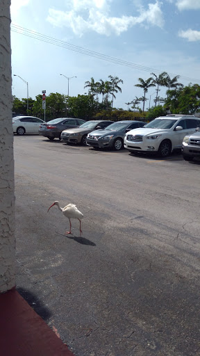 Center for Family and Child Enrichment, Inc. (CFCE)