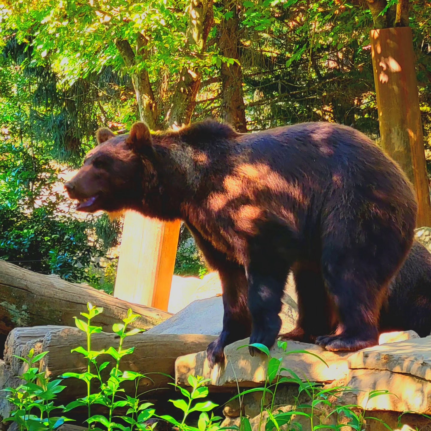 Photo n° 9 de l'avis de Henri.u fait le 24/08/2023 à 07:09