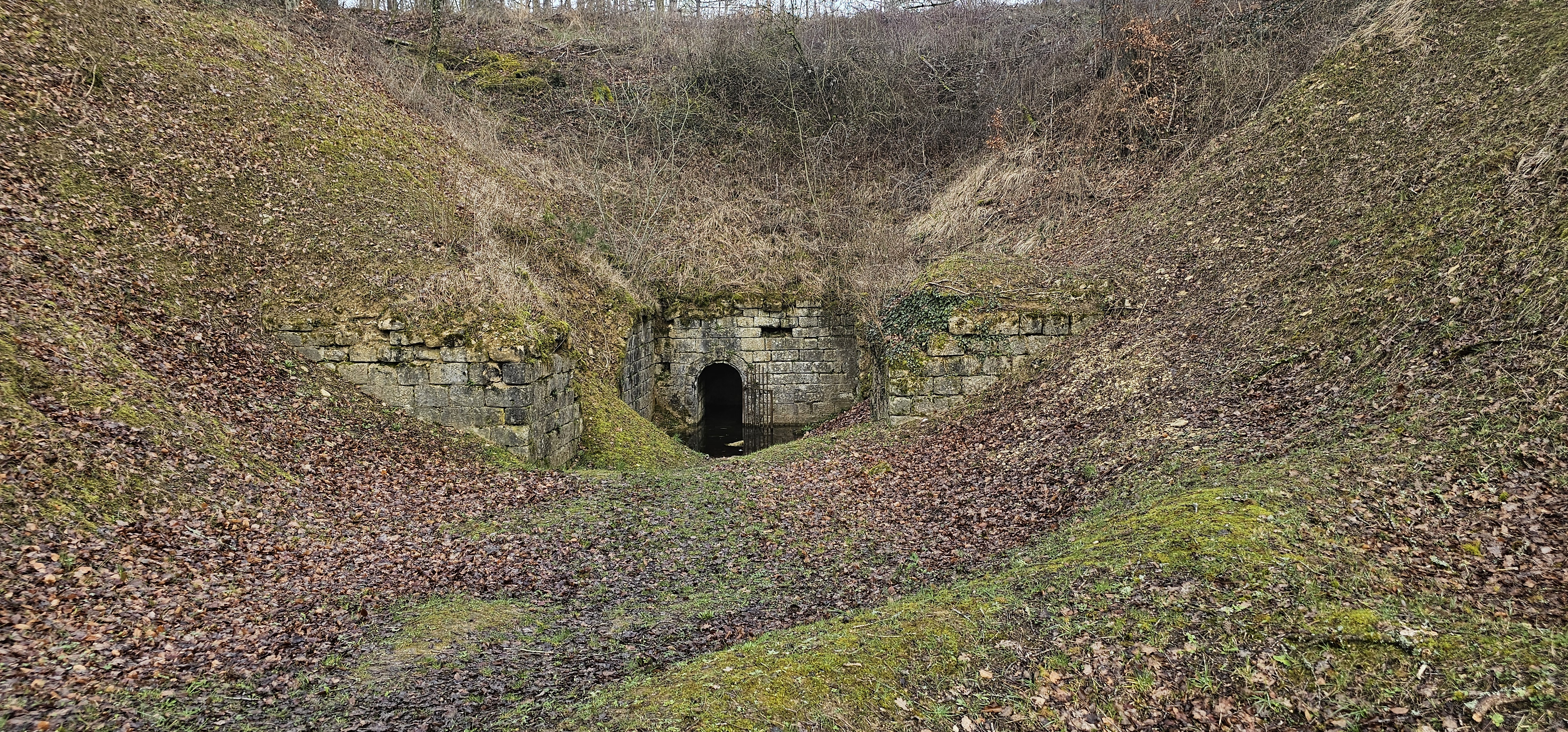 Photo n° 3 de l'avis de Suberten. fait le 06/03/2024 à 19:31