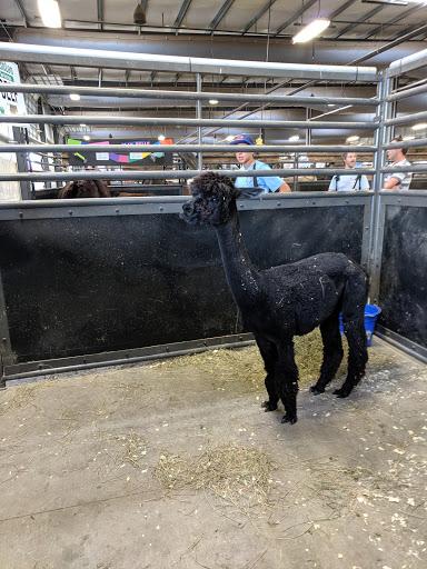 Auditorium «Exhibition Hall at the Alliant Energy Center», reviews and photos, 1919 Alliant Energy Center Way, Madison, WI 53713, USA