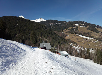 Chalet pied piste noire à Beaufort
