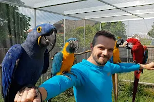 Království papoušků image