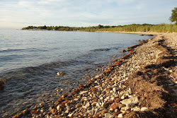 Dog Dreams beach'in fotoğrafı imkanlar alanı