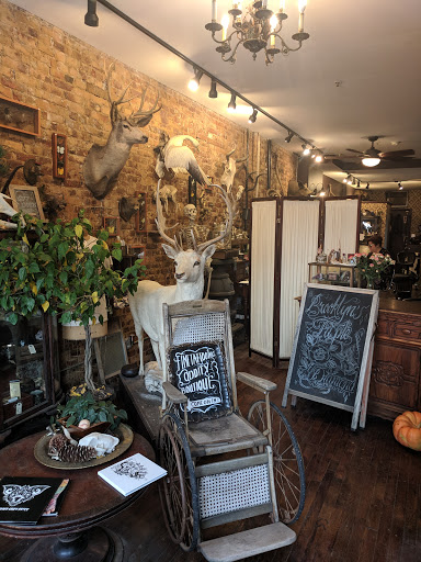 Tattoo Shop «Triple Diamond Tattoo», reviews and photos, 257 3rd Ave, Brooklyn, NY 11215, USA