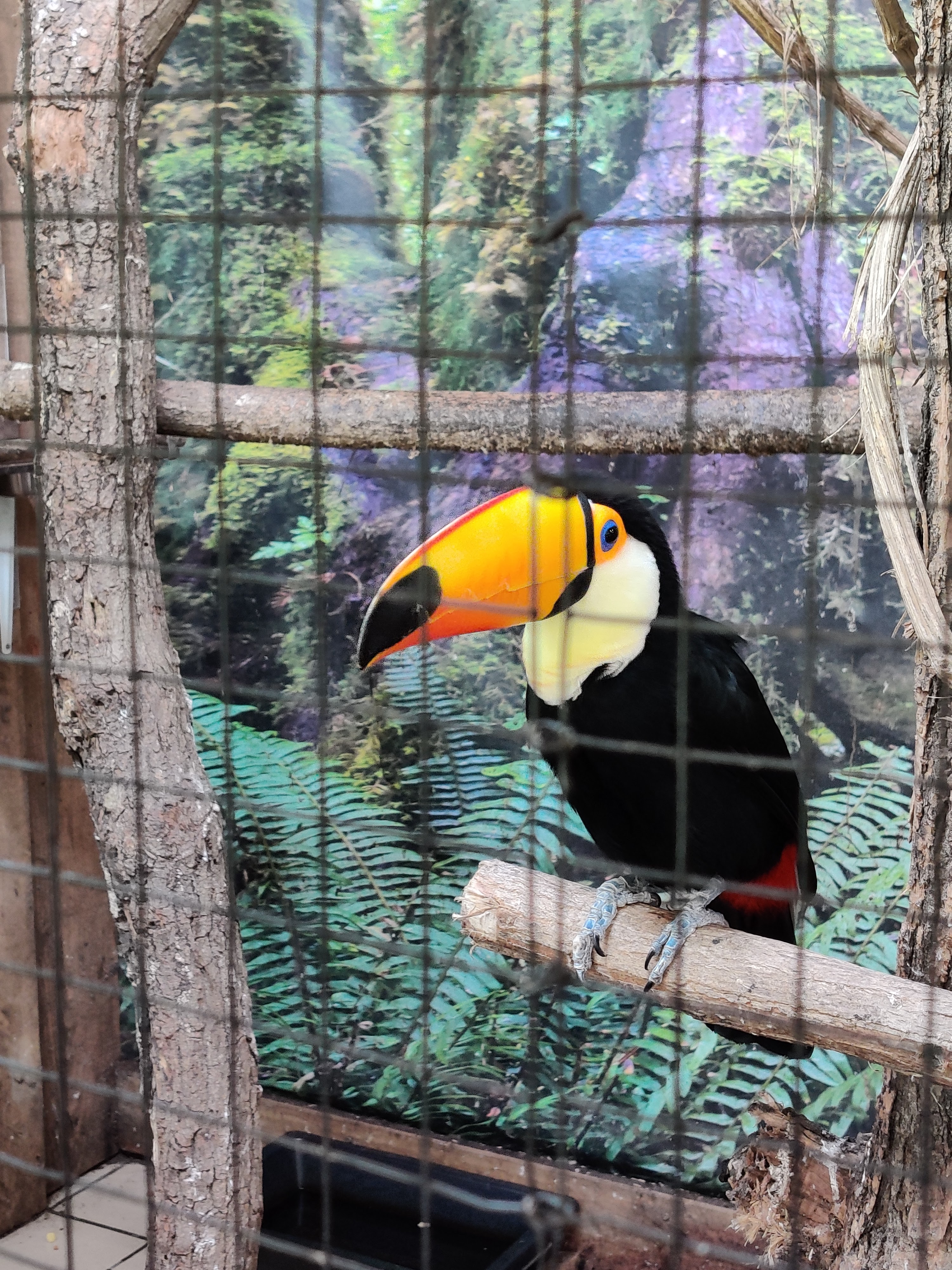 Photo n° 1 de l'avis de Emilie.a fait le 06/08/2023 à 13:12