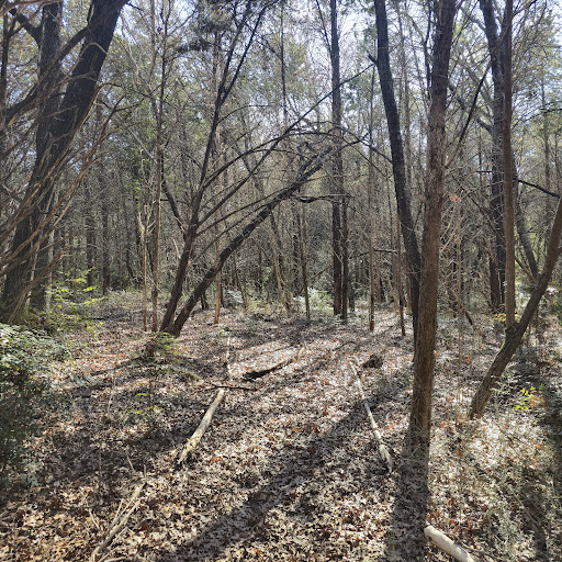 Gateway trails