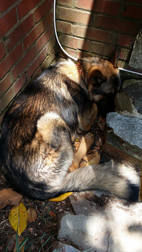 Winery «Mount Felix Winery», reviews and photos, 2000 Level Rd, Havre De Grace, MD 21078, USA