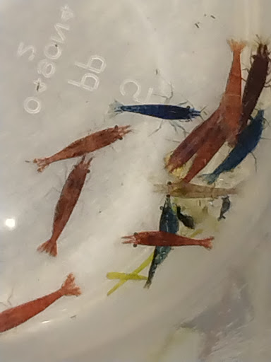 Pet Store «Wet Pets», reviews and photos, 3010 McGehee Rd, Montgomery, AL 36111, USA