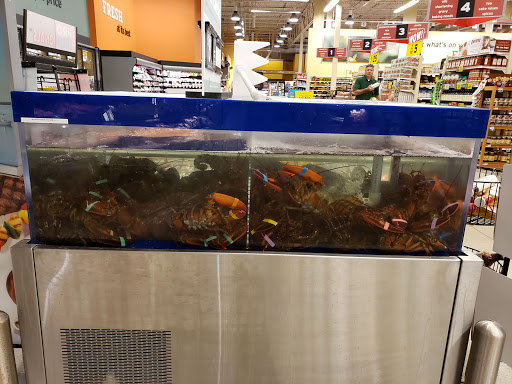 Grocery Store «Hannaford Supermarket», reviews and photos, 65 Gray Rd, Falmouth, ME 04105, USA