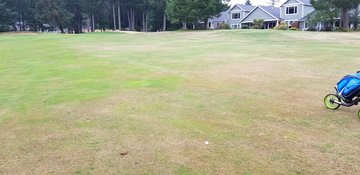 Golf Course «LakeLand Village Golf Course/Pro Shop», reviews and photos, 200 E Old Ranch Rd, Allyn, WA 98524, USA