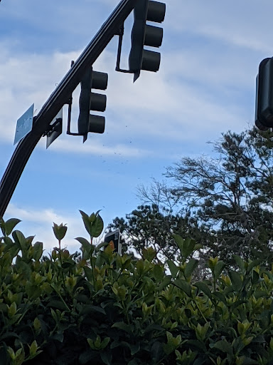 Fast Food Restaurant «Chick-fil-A», reviews and photos, 849 Folly Rd, Charleston, SC 29412, USA