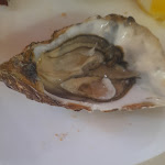 Photo n°5 de l'avis de Manuel.a fait le 22/04/2024 à 05:14 sur le  Il Piccolo Ducato à Cisterna di Latina