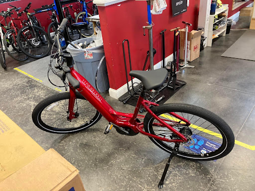 Bicycle Store «Road & Trail Bicycles», reviews and photos, 5113 US-98, Lakeland, FL 33812, USA