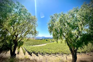 Sustainable Wine Tours image