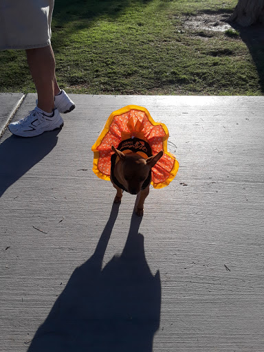 Park «Centennial Hills Park», reviews and photos, 7101 N Buffalo Dr, Las Vegas, NV 89131, USA