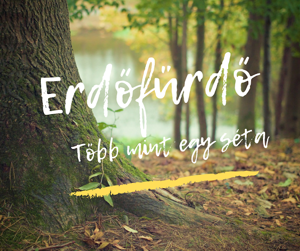 Erdőfürdő - Több mint egy séta - Edzőterem